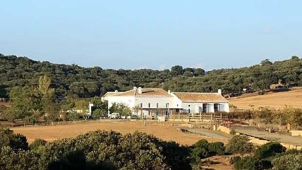 Ферма в Испании в Антекера провинция Малага (Finca ganaderas) - жилая и коммерческая недвижимость в Испании на Коста дель Соль Дома в Испании - малоэтажные жилые