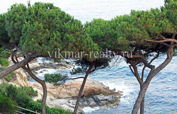Скалы у прогулочной парковой аллеи на мысе Punta d'en Rosaris в Ллорет де Мар Мыс Punta d'en Rosaris в Ллорет де Мар
